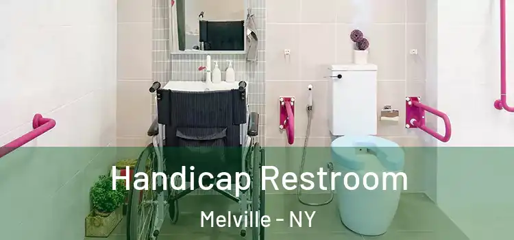  Handicap Restroom Melville - NY